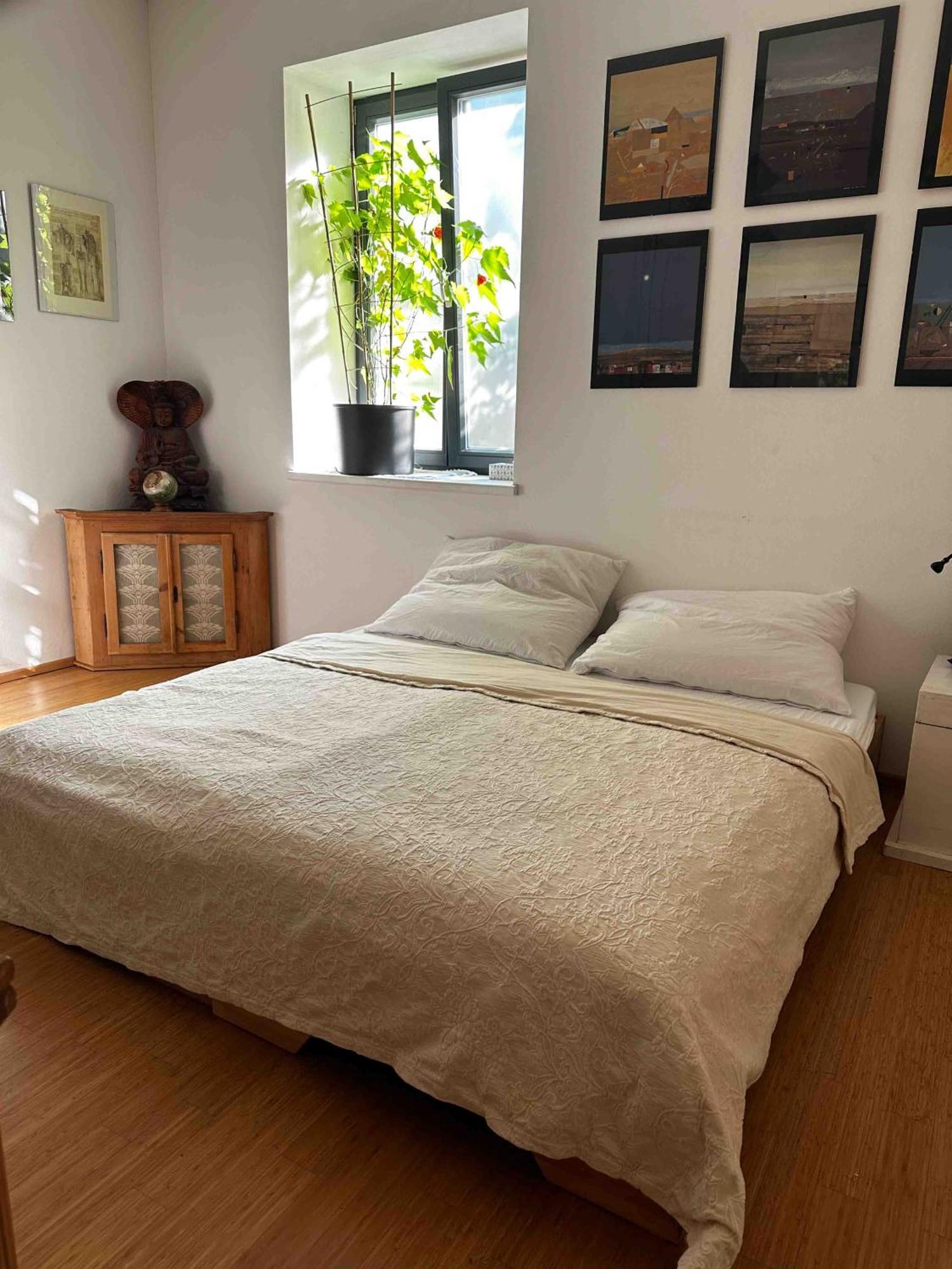 Wellness Apartament Viena