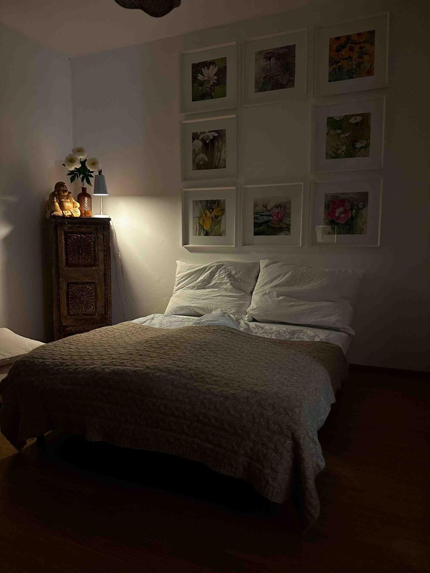 Wellness Apartament Viena