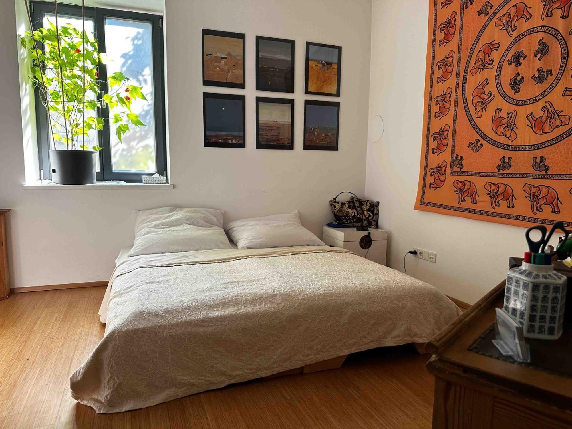 Apartament Wellness *